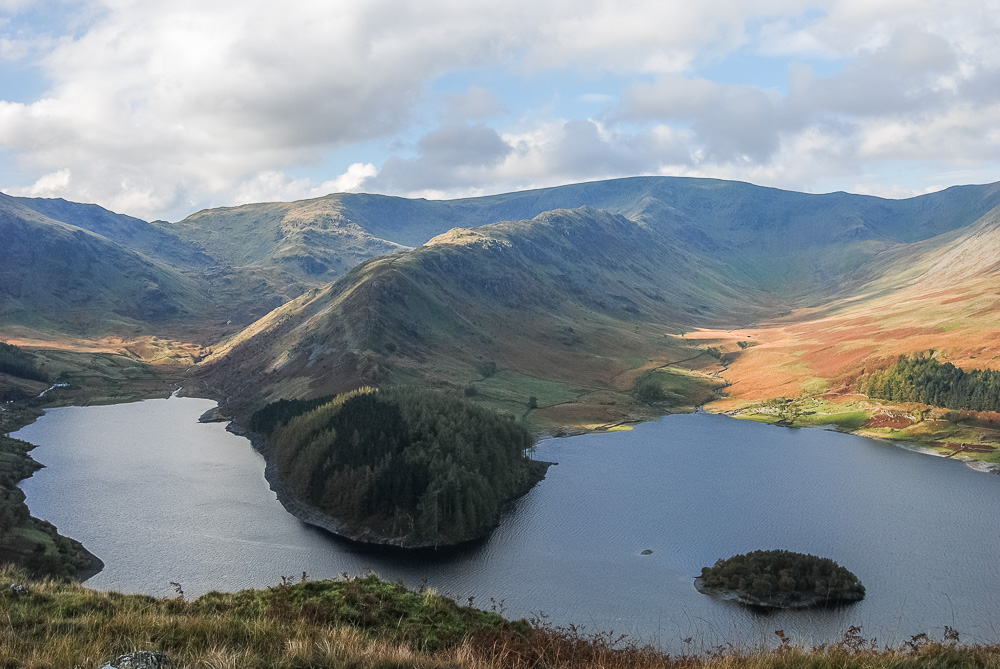 The Rigg